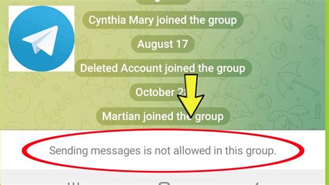 telegram error email not allowed.